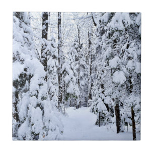 Winter Landscape Snow in Forest Ceramic Tile