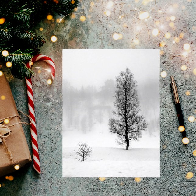 Winter landscape snow tree fog birch postcard (Creator Uploaded)