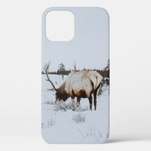 WINTER LANDSCAPE WITH A DEER iPhone 12 CASE