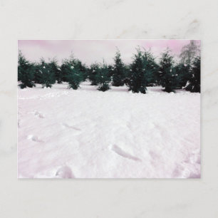 Winter landscape with larches in the snow  holiday postcard