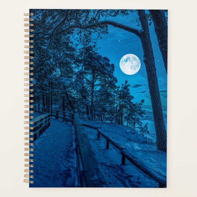Winter landscape with snow covered pine forest planner (Front)