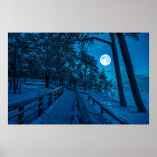Winter landscape with snow covered pine forest poster