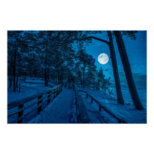 Winter landscape with snow covered pine forest poster