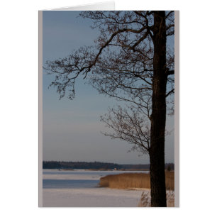 Winter Landscape with Tree CC0370