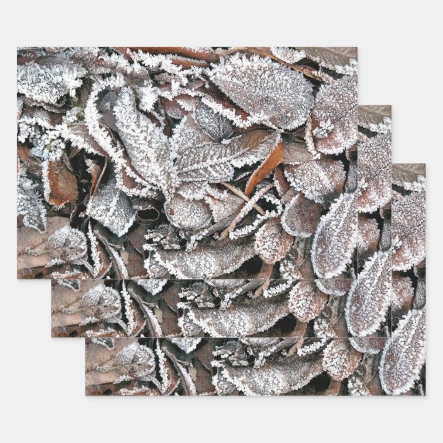WINTER LEAVES WRAPPING PAPER SHEET (Set)
