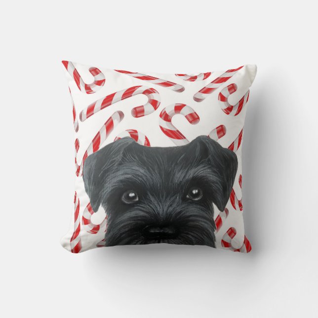 Winter limited edition. Black Schnauzer with Candy Cushion (Front)