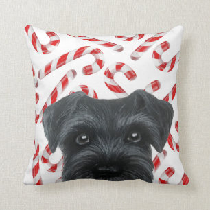 Winter limited edition. Black Schnauzer with Candy Cushion