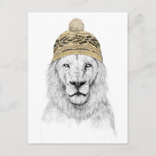 Winter lion postcard