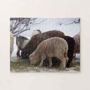 Winter Lunch for Sheep Jigsaw Puzzle
