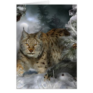 Winter Lynx