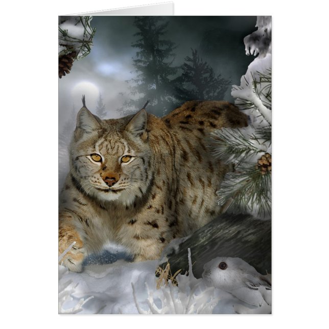 Winter Lynx (Front)