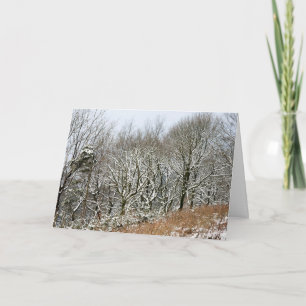 Winter Macclesfield Forest Card