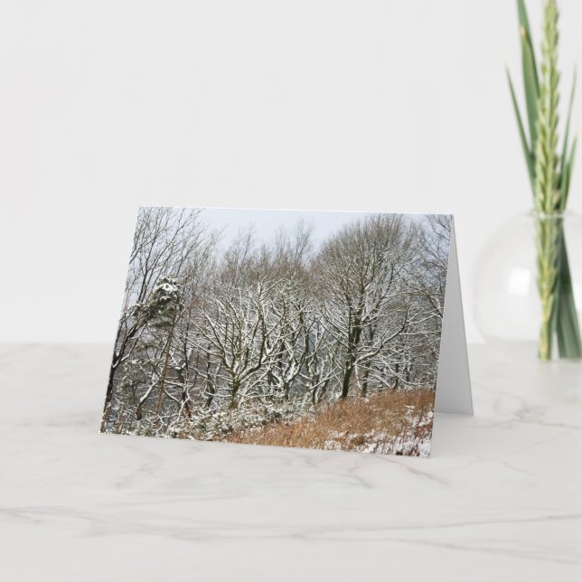 Winter Macclesfield Forest Card (Front)