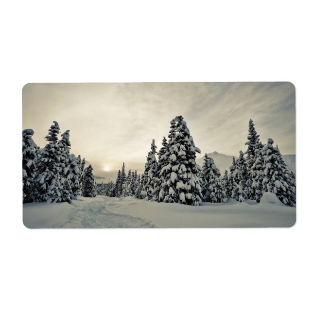 Winter Magic (Front)