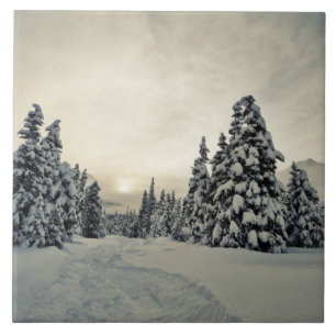 Winter Magic Ceramic Tile