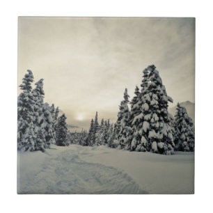 Winter Magic Ceramic Tile