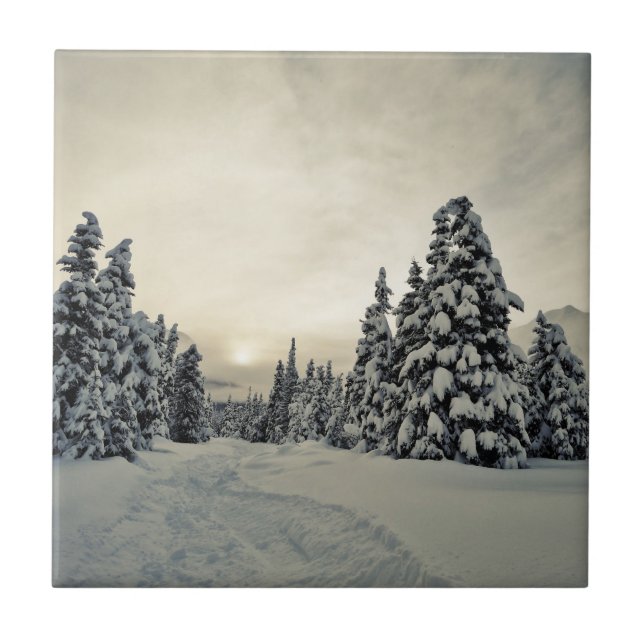 Winter Magic Ceramic Tile (Front)