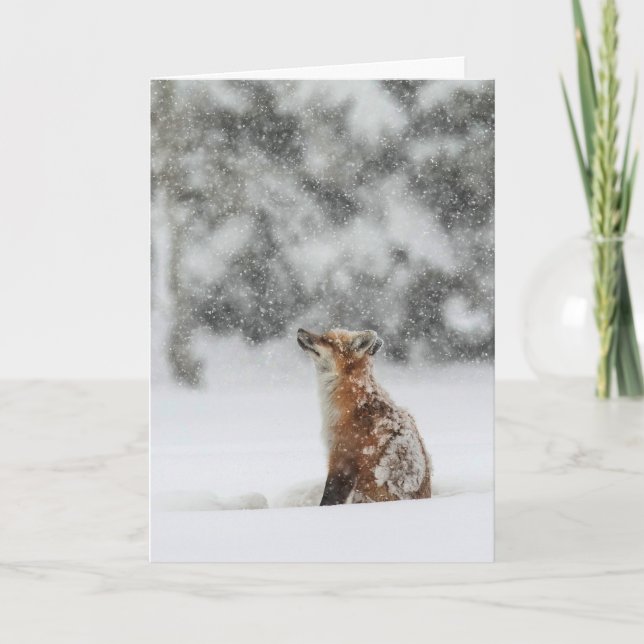 "Winter Magic" Holiday Card (Front)