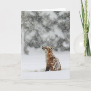 "Winter Magic" Holiday Card