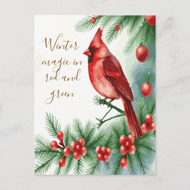 Winter Magic in Red and Green Cardinal Postcard (Front)