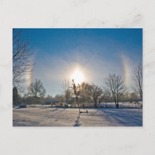 Winter Magic Postcard