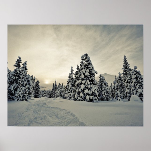 Winter Magic Poster (Front)