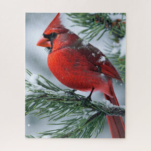 Winter Male Cardinal Bird Pine Christmas Wedding Jigsaw Puzzle