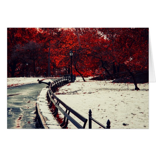 Winter Meets Fall in Central Park, NYC (Front Horizontal)