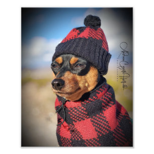 Winter Min Pin Photo Print