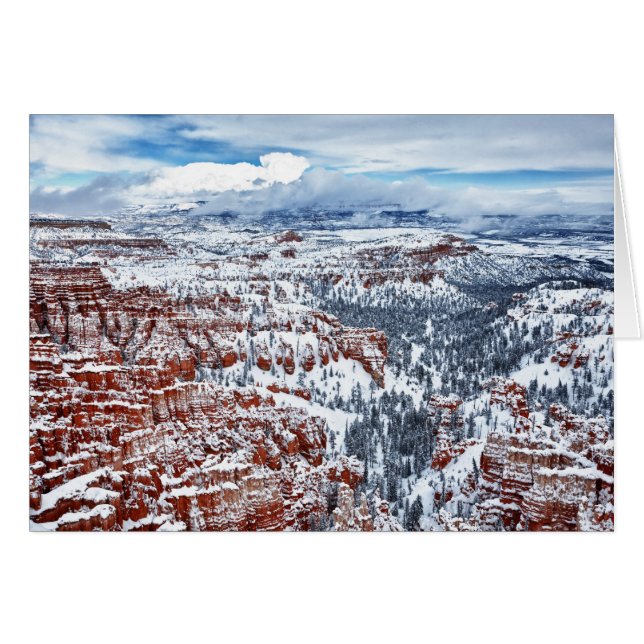 Winter Mood (Front Horizontal)