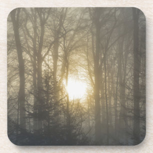 Winter mood coaster