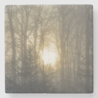 Winter mood stone coaster