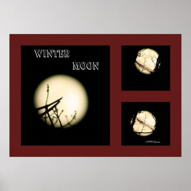 Winter Moon Collage Poster (Front)
