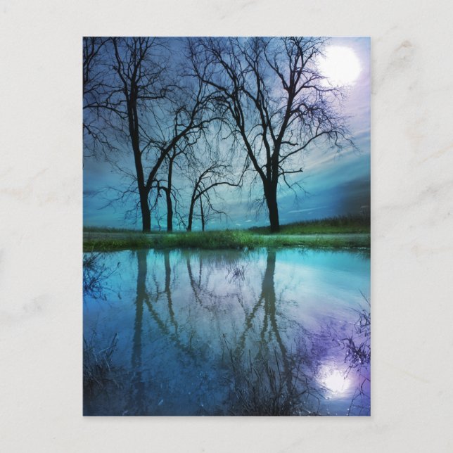 Winter moon , postcard (Front)