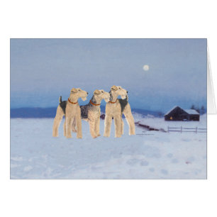 Winter Moonlight