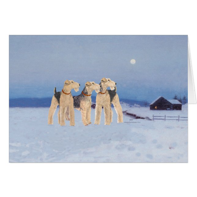 Winter Moonlight (Front Horizontal)