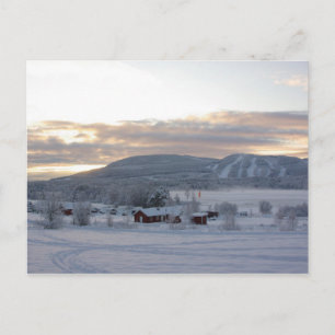Winter Morning #1 Postcard