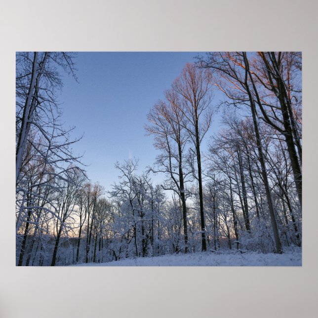 Winter Morning Light I Landscape Poster (Front)