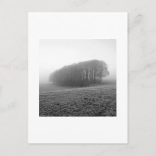 Winter Morning Mist: Cheshire, England Postcard