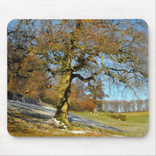 Winter morning mouse pad