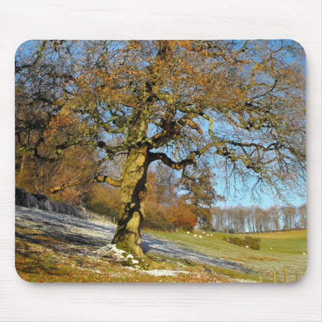 Winter morning mouse pad (Front)