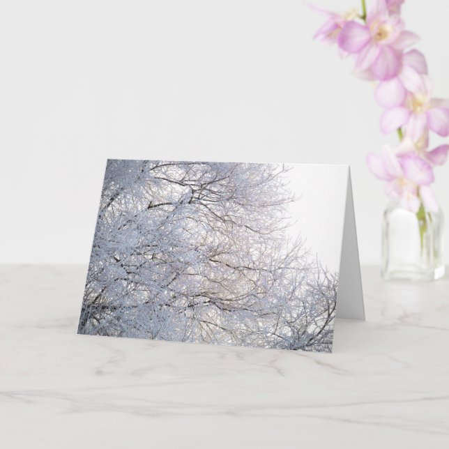 Winter Morning Snow Frosty Branches Nature Card (Orchid)