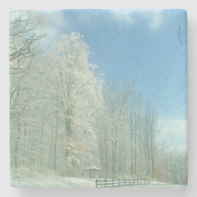 winter morning stone coaster (Front)