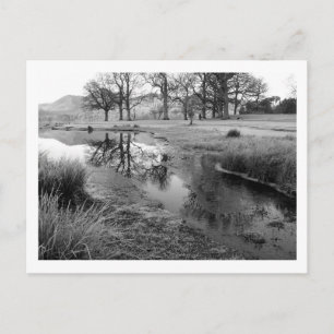 Winter Morning: Strandshag Bay, Derwentwater Postcard
