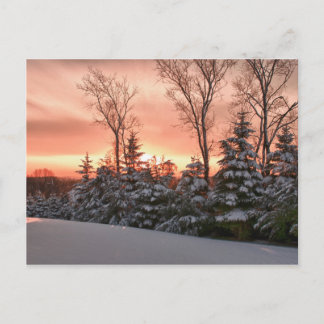 Winter morning sunrise postcard