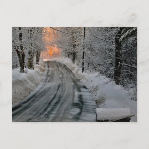 Winter Morning Sunshine Photography Postcard