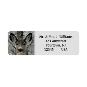 Winter Mule Deer Close-up Return Address Label