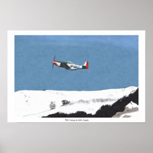 Winter Mustang P51D Poster