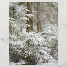 Winter Nature Christmas Scrapbook background paper