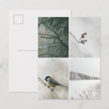 Winter Nature photo collage
